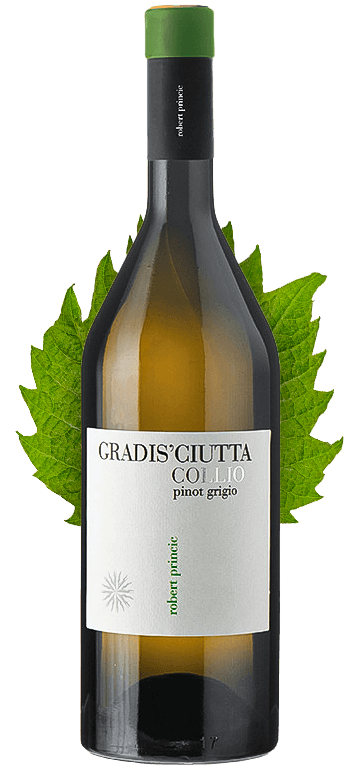 Grauburgunder (Pinot Grigio)